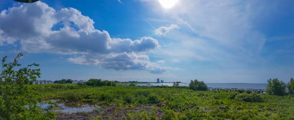 DJI_20260515172851_0055_D